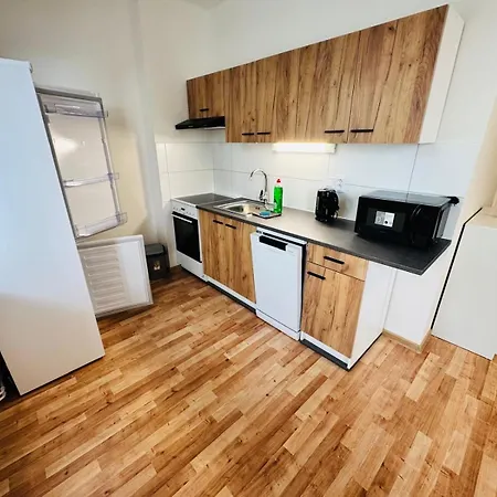 Pro 4 Osoby Ve Meste Nad Ohri Apartment Ostrov (Karlovy Vary)